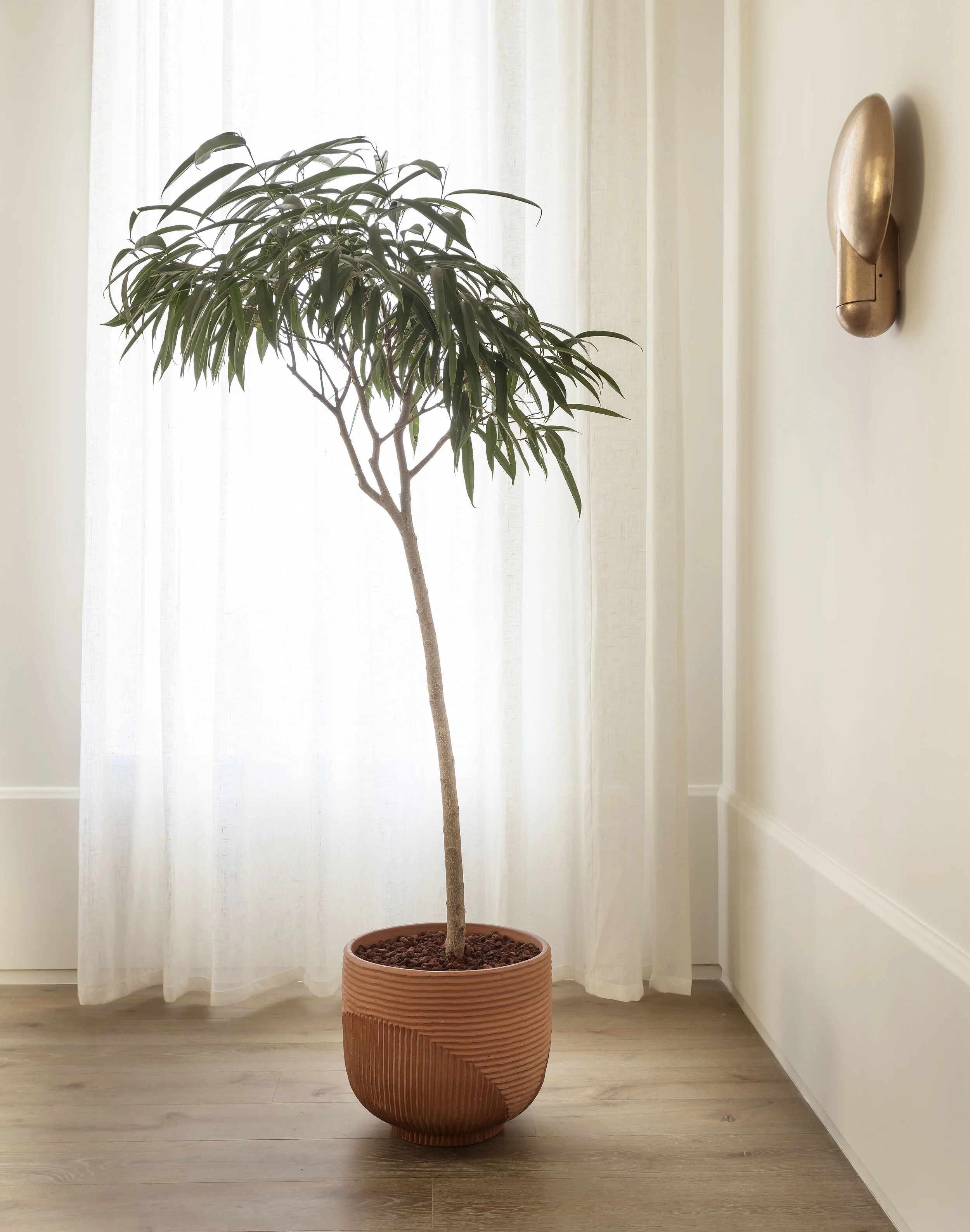 Horizon Planter, Cognac — Radnor
